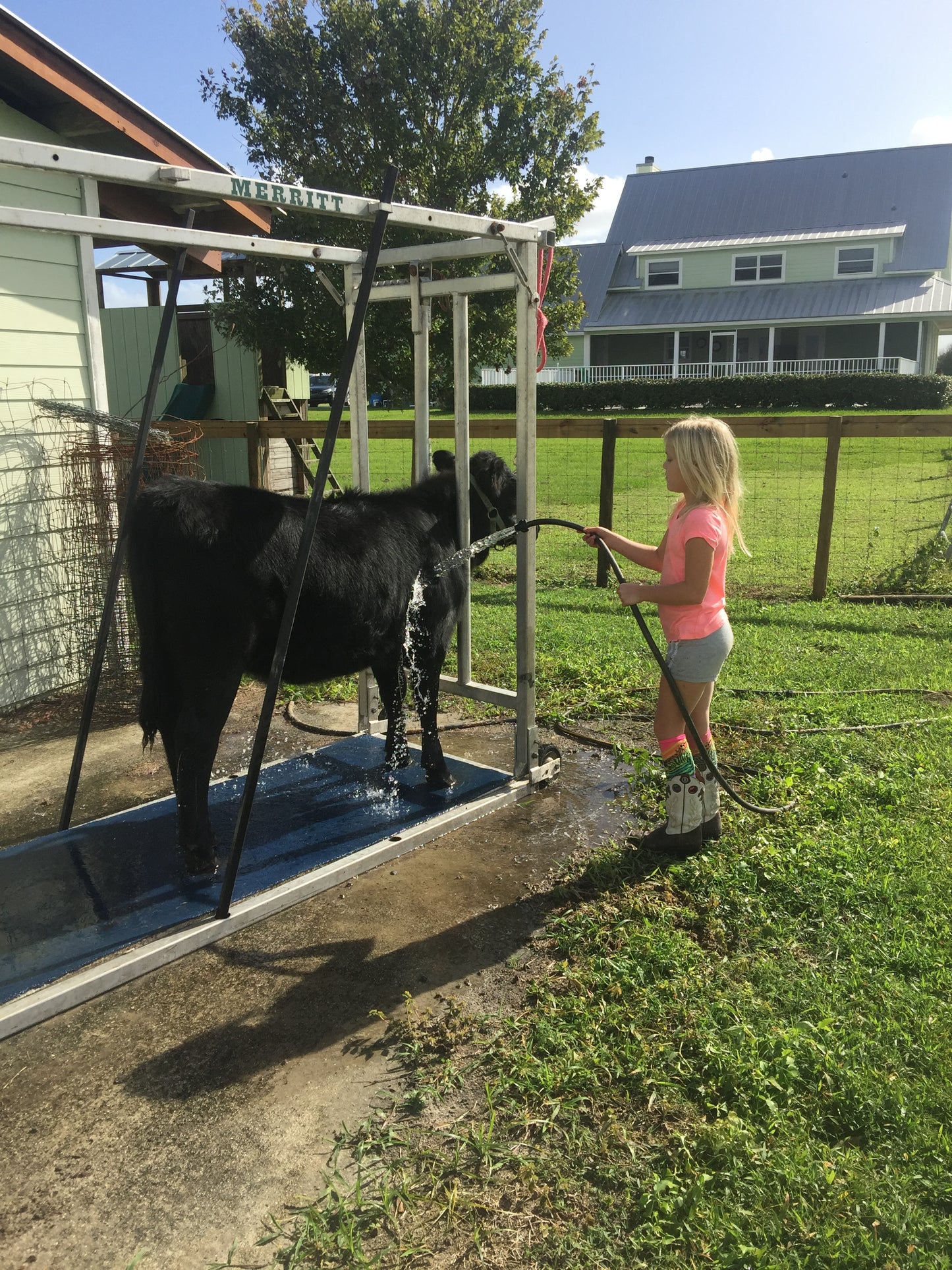 Cattle chute mat